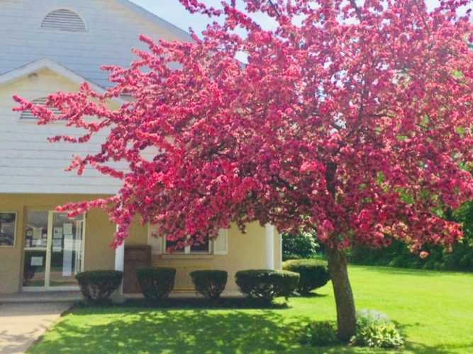 exterior of the coudersport public library
